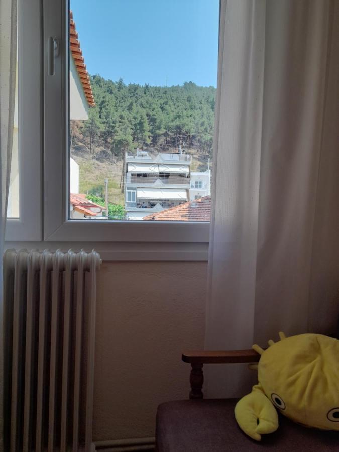 Friendly Philoxenia Apartment Xanthi Bagian luar foto